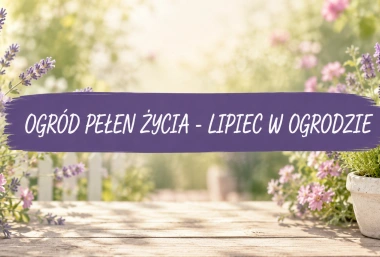 Lipiec w ogrodzie – sekrety pięknego ogrodu i obfitych plonów